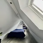 Gite Du Figuier Selestat Terrasse Et Climatisation Apartmán