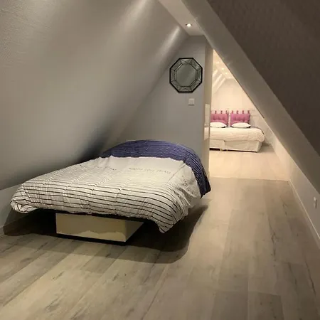 Du Figuier 4 A 6 Personnes Centre-alsace Apartament