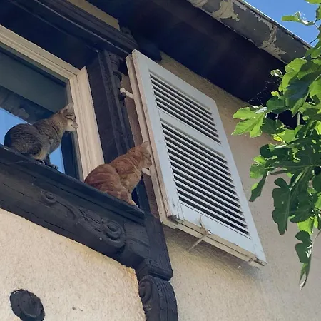 Apartament Du Figuier 4 A 6 Personnes Centre-alsace Sélestat