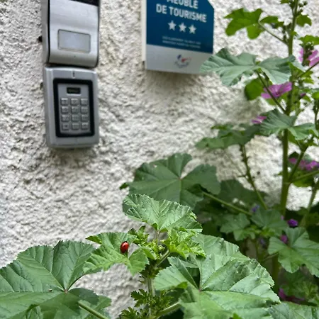 Du Figuier 4 A 6 Personnes Centre-alsace Apartament Sélestat