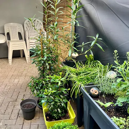 Du Figuier Terrasse Et Climatisation * Селеста