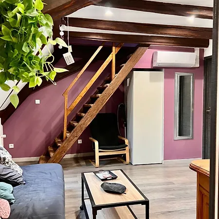 Du Figuier 4 A 6 Personnes Centre-alsace Sélestat