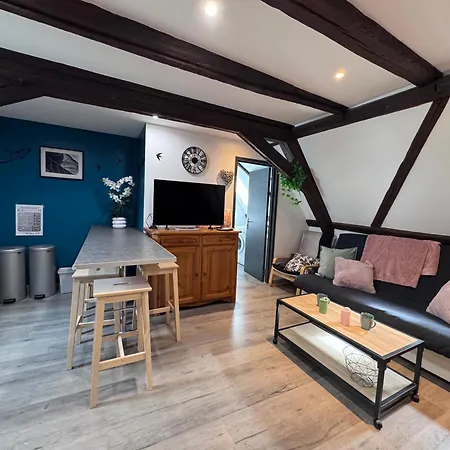 Apartman Du Figuier Terrasse Et Climatisation Sélestat