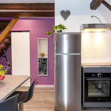 Du Figuier 4 A 6 Personnes Centre-alsace Apartament Sélestat
