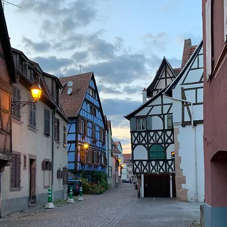 Du Figuier 4 A 6 Personnes Centre-alsace * Sélestat